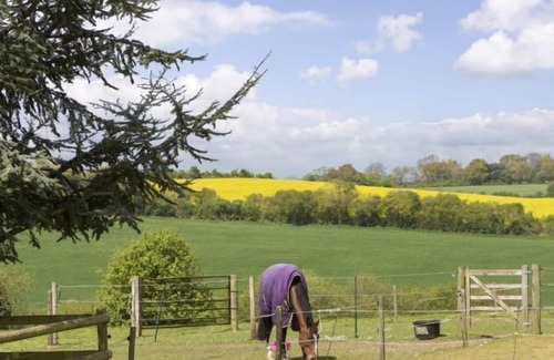 Whitchurch Cabin | Cedar Tree is a compact yet luxurious shepherd’s hut for couples overlooking the North Wessex Downs.