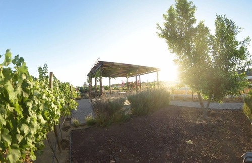 Valle de Guadalupe Cabin | Cedrón. Acogedora Cabaña de Madera Ideal Para Parejas