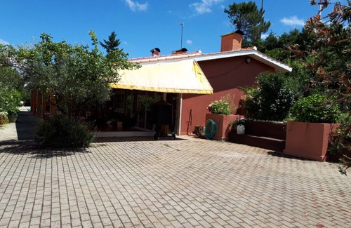 Alfandega da Fe House | CEDROS COTTAGE, villa in private little farm