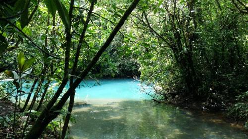 Bijagua Hotel | Celeste Mountain Lodge