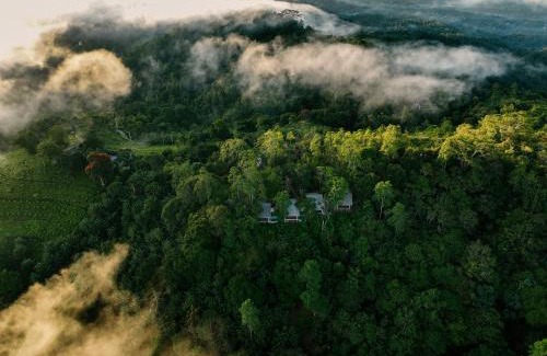 Gomagoda Resort | Celestial Hills - Villas & Suites by The Clarks
