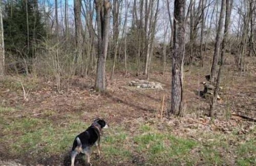 Freedom RV Rental | Celtic Glen Farm Stay - Shady pasture overlookn