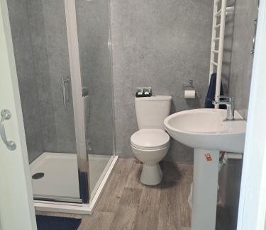 Cwm-twrch Isaf Hotel | Celtic Minor Stables