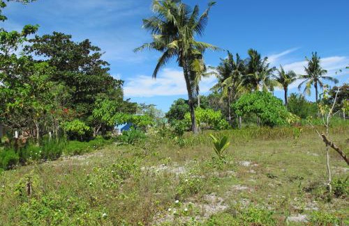 Daanbantayan Resort | Celtis Resort