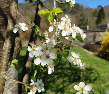 Bomal-sur-Ourthe Bed & Breakfast | Cent Trente