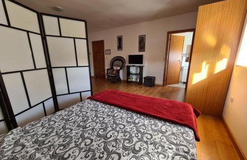 Oliveira do Bairro Apartment | Centenária