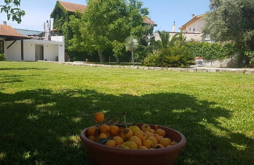 Sao Juliao da Figueira da Foz House | Centenary house with garden and barbecue! Close to the beach and the city