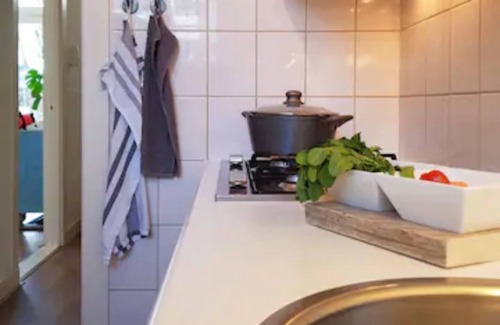 Binnenstad-Oost Apartment | Center duplex flat with terrace by hospital UMCG