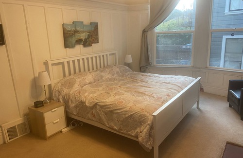 Buena Vista Apartment | Center of the City - Only Victorian with 4 King Sized Beds -The largest space!