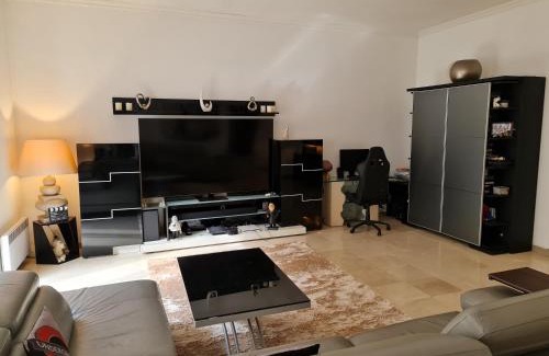 Cannes City Centre Apartment | Center palais