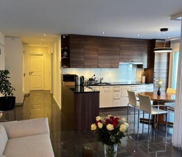 Central Interlaken Apartment | Center Park Apartment