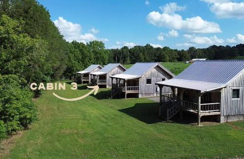 Smithville House | CenterHillLakeSereneCouplesTinyCabin 3