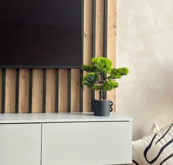 Razgrad Apartment | Central Apartment