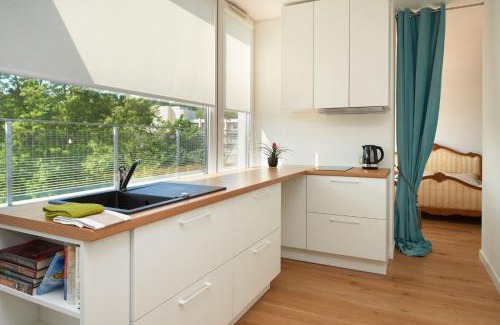 Birstonas Apartment | Central Apartment