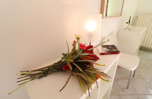 Otranto Apartment | Central Apartment With Wi-fi, Air Conditioning And Balcony; Pets Allowed