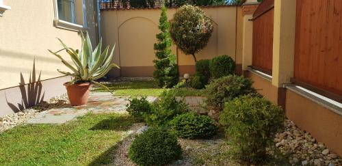 Gyula Apartment | Central-Aqua Apartman