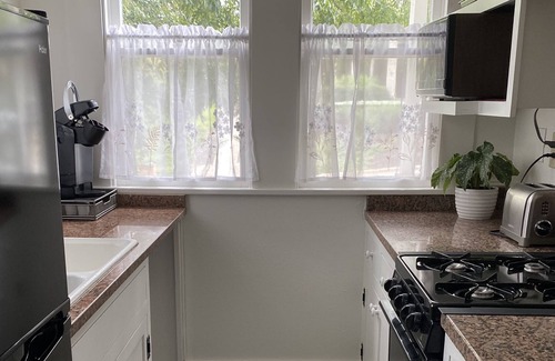 North University House | Central Austin Bungalow! Close to Everything!