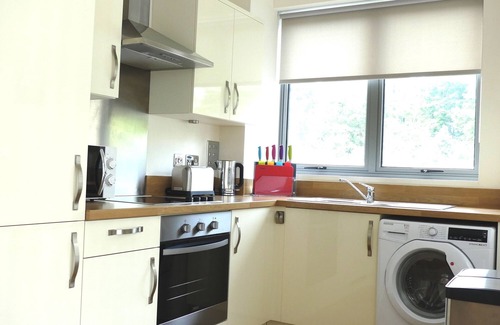 Basingstoke Apartment | Central Basingstoke - Large 2 bedroom 2 bathroom (King/Twin) Luxury Apartment