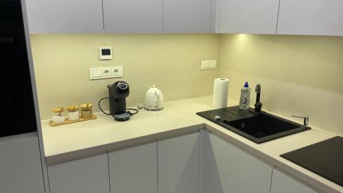 Siauliai City Center Apartment | Central Boulevard Apartment 2