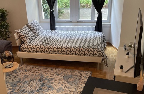 Fribourg Apartment | Central Freiburg classic Studio