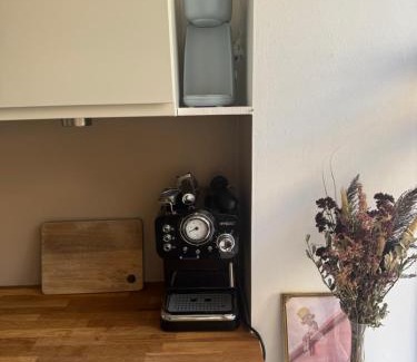 Indre by Apartment | Central lejlighed med tag-terrasse