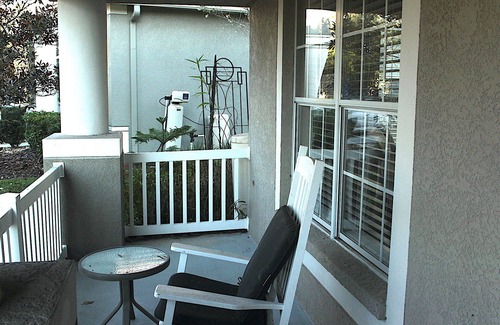 Wesley Chapel South House | Central location perfect for family and friends vacation home