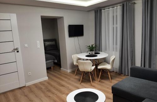 Rybnik Apartment | Central Platinum Apartments 14