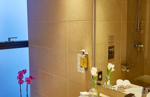 Piatra Neamt Hotel | Central Plaza Hotel