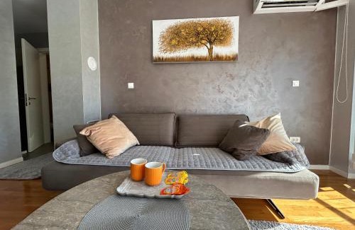 Zenica Apartment | CENTRAL POINT APARTMENT - City centar Zenica-