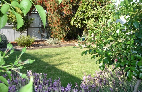 Shepparton Apartment | Central Shepparton apartment