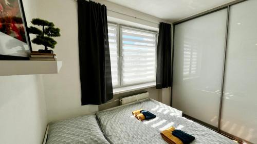 Radvan Apartment | Central Suites Bystrica 2 I 24hr Self Check-in l Free Wi-Fi & Parking
