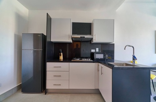 Lope De Vega Apartment | Central Suites Tower