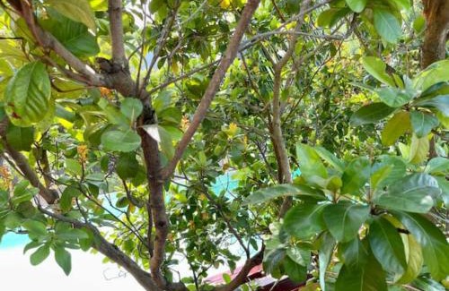Belize City House | CentralCity “Paradise” Private Mini Resort & Pool