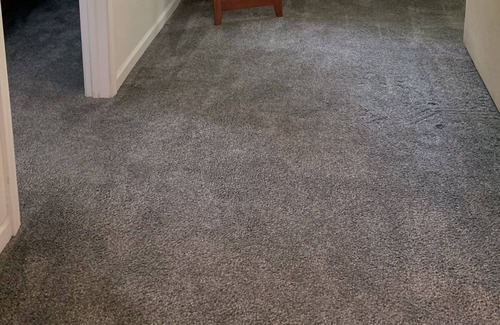 High Point Cottage | Centrally located cozy cottage perfect for professionals!