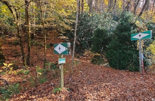 Almond Cabin | Centrally located for all attractions of Western North Carolina
