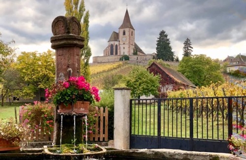Saint-Pierre-Bois Apartment | Centre Alsace Apartment 85 m2 2-5 persons