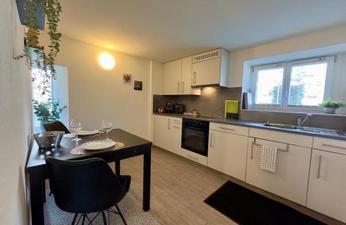 Martigny Apartment | Centre ville appartement cosy