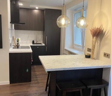 Panevezys county Apartment | Centro apartamentai