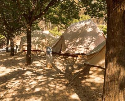 Benameji Other | CENTRO DE OCIO ALÚA Bungalows Camping Rafting Benamejí