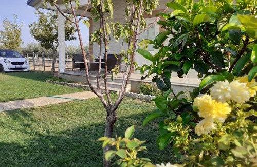 Frascineto Apartment | Centro Ippico Iannibelli