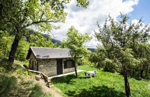 El Pueyo de Araguas House | Centro medioambiental The Nest - Adults Only