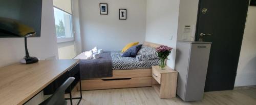 Srodmiescie Apartment | Centrum Prusa STUDIO 210