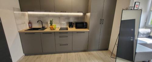Srodmiescie Apartment | Centrum Prusa STUDIO 210