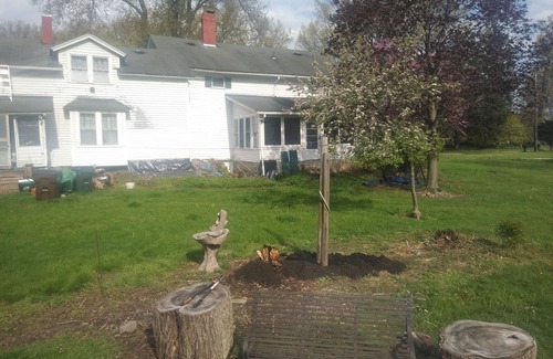 Westlake House | Century home 200 years old Power Farmhouse on You Tube video