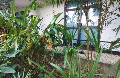 Hikkaduwa Villa | Ceylon Ramble Villa