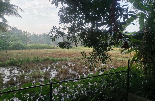 Hikkaduwa Villa | Ceylon Ramble Villa