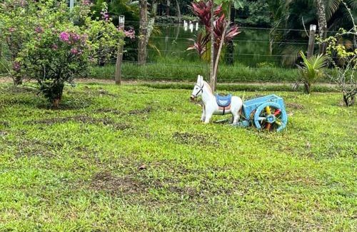Cachoeiras de Macacu House | Chácara Belas Águas