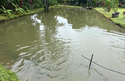 Cachoeiras de Macacu House | Chácara Belas Águas