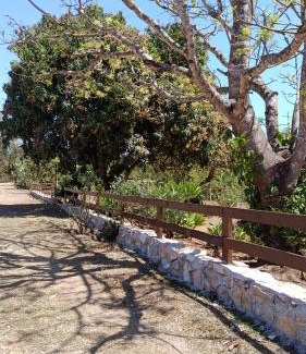 Alexania Other | Chácara para temporada pertinho de Brasília