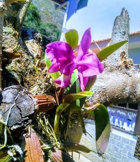 Nova Friburgo House | Chácara Sensorial Nova Friburgo RJ